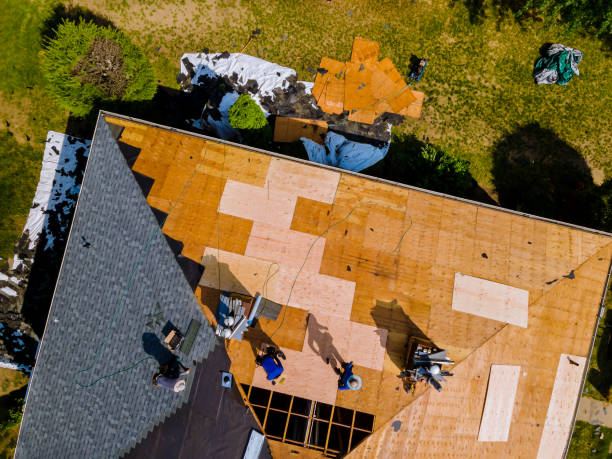 Best Metal Roofing Contractor  in Evergreen, AL