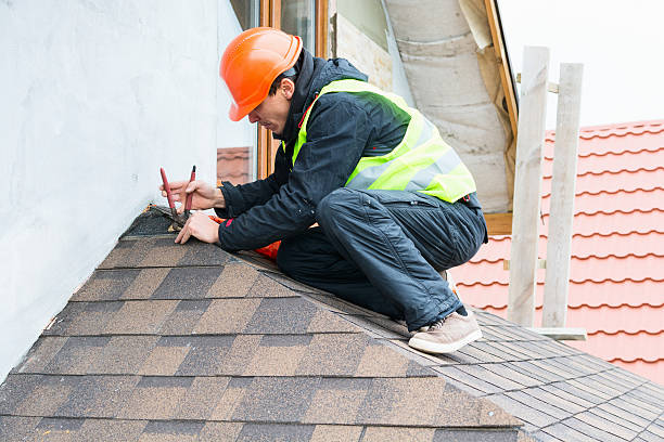 Roof Gutter Cleaning in Evergreen, AL